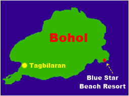 diving bohol island philippines